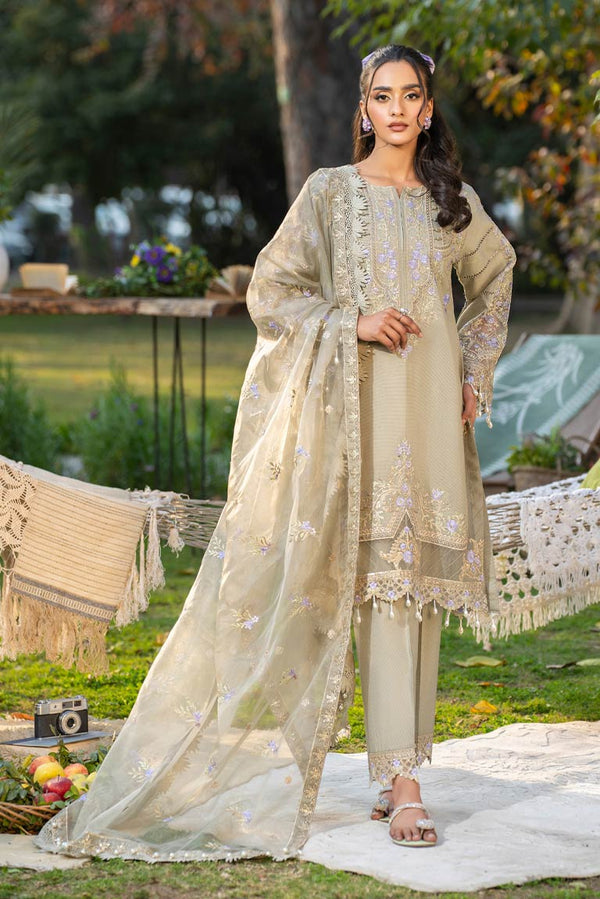 Pakistani Eid Dress