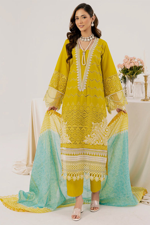 Pakistani Salwar Kameez